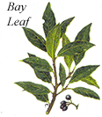 
Herb: Bay leaf.
